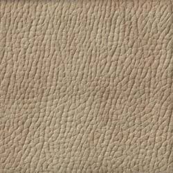 Bach-Beige-2