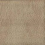 Tissu beige