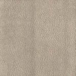 Stof crème kleur / Tissu couleur crème