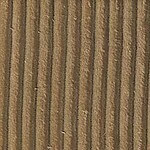 Elza Sand
